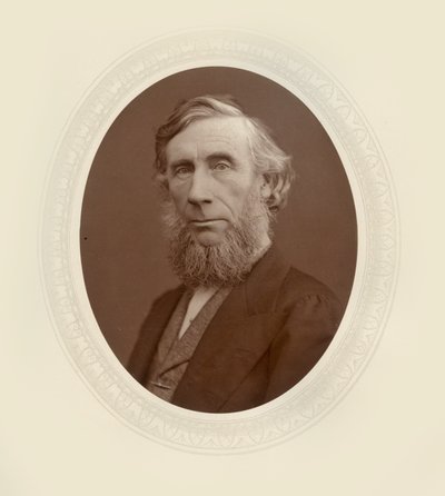 John Tyndall by Lock and Whitfield